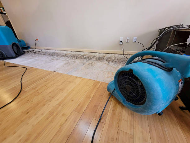 Professional Water Removal technician working in Bowler, WI